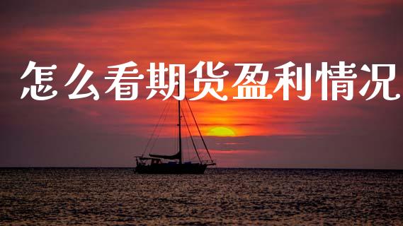 怎么看期货盈利情况_https://www.gzshoujun.com_期货直播_第1张