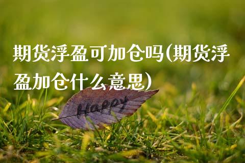 期货浮盈可加仓吗(期货浮盈加仓什么意思)_https://www.gzshoujun.com_内盘期货_第1张