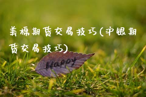 美棉期货交易技巧(沪银期货交易技巧)_https://www.gzshoujun.com_期货行情_第1张