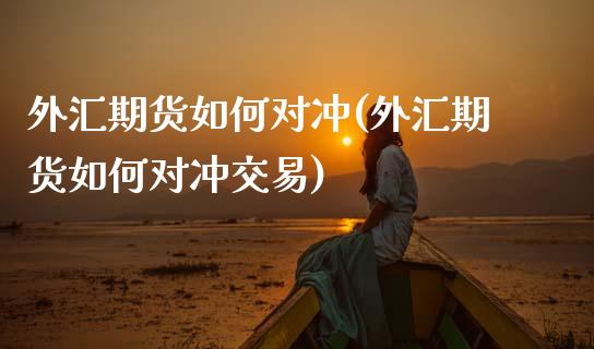 外汇期货如何对冲(外汇期货如何对冲交易)_https://www.gzshoujun.com_农产品期货_第1张