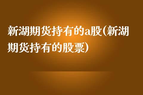 新湖期货持有的a股(新湖期货持有的股票)_https://www.gzshoujun.com_期货入门_第1张