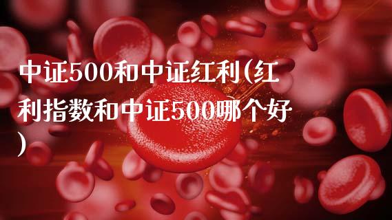 中证500和中证红利(红利指数和中证500哪个好)_https://www.gzshoujun.com_期货理财_第1张