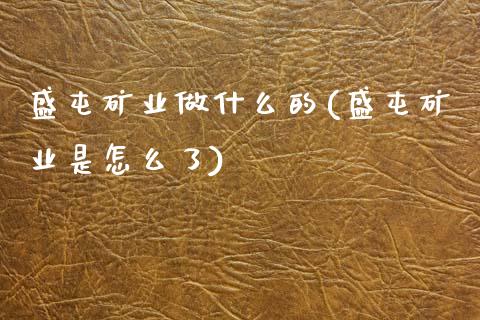 盛屯矿业做什么的(盛屯矿业是怎么了)_https://www.gzshoujun.com_国际期货_第1张