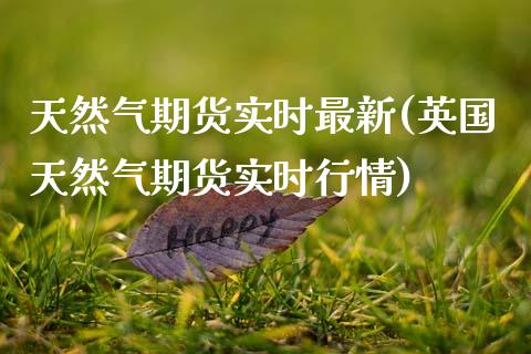 天然气期货实时最新(英国天然气期货实时行情)_https://www.gzshoujun.com_期货品种_第1张