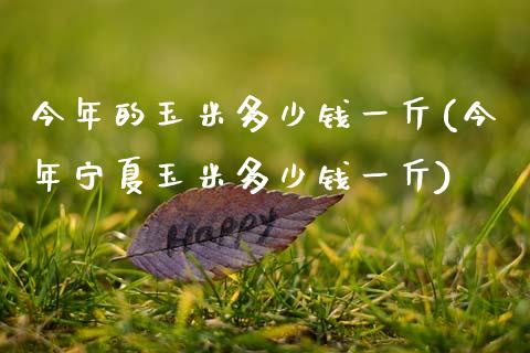 今年的玉米多少钱一斤(今年宁夏玉米多少钱一斤)_https://www.gzshoujun.com_期货知识_第1张