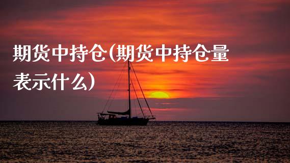 期货中持仓(期货中持仓量表示什么)_https://www.gzshoujun.com_期货交易所_第1张
