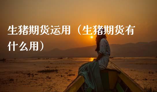 生猪期货运用（生猪期货有什么用）_https://www.gzshoujun.com_期货品种_第1张