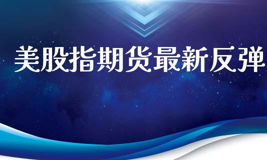 美股指期货最新反弹_https://www.gzshoujun.com_期货直播_第1张