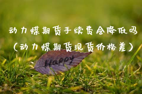 动力煤期货手续费会降低吗（动力煤期货现货价格差）_https://www.gzshoujun.com_期货品种_第1张