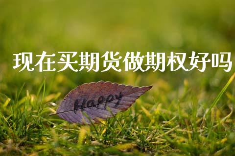 现在买期货做期权好吗_https://www.gzshoujun.com_期货行情_第1张