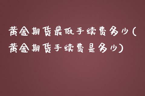 黄金期货最低手续费多少(黄金期货手续费是多少)_https://www.gzshoujun.com_期货品种_第1张