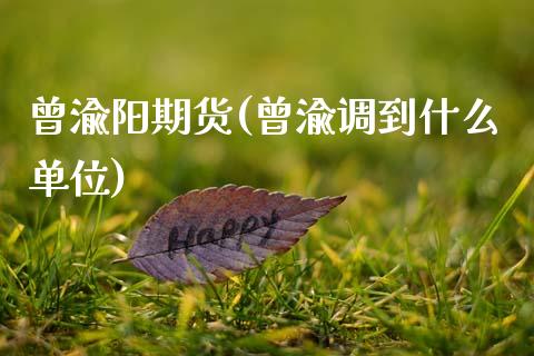 曾渝阳期货(曾渝调到什么单位)_https://www.gzshoujun.com_内盘期货_第1张
