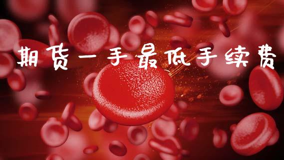 期货一手最低手续费_https://www.gzshoujun.com_期货行情_第1张