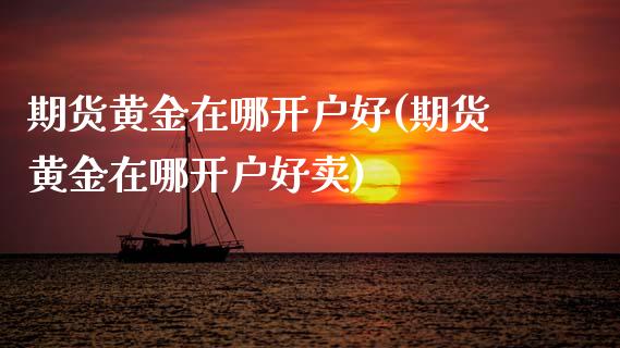 期货黄金在哪开户好(期货黄金在哪开户好卖)_https://www.gzshoujun.com_农产品期货_第1张