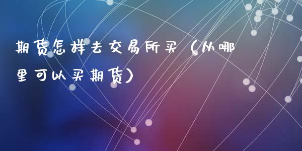 期货怎样去交易所买（从哪里可以买期货）_https://www.gzshoujun.com_期货行情_第1张