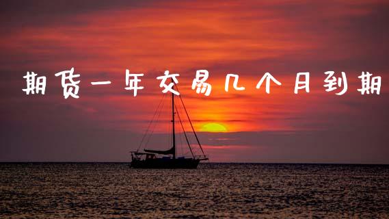 期货一年交易几个月到期_https://www.gzshoujun.com_期货品种_第1张