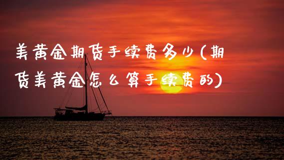 美黄金期货手续费多少(期货美黄金怎么算手续费的)_https://www.gzshoujun.com_期货行情_第1张