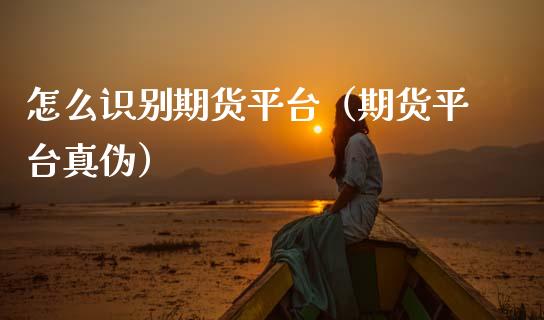 怎么识别期货平台（期货平台真伪）_https://www.gzshoujun.com_期货理财_第1张