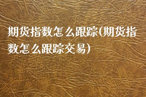 期货指数怎么(期货指数怎么交易)_https://www.gzshoujun.com_基金理财_第1张