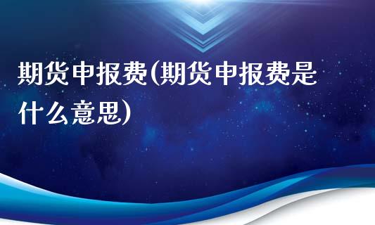 期货申报费(期货申报费是什么意思)_https://www.gzshoujun.com_期货品种_第1张