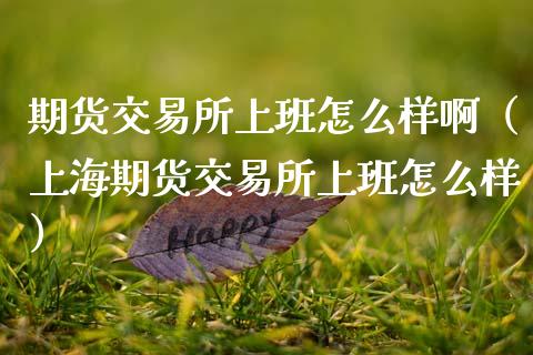 期货交易所上班怎么样啊（上海期货交易所上班怎么样）_https://www.gzshoujun.com_期货交易所_第1张