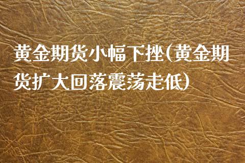 黄金期货小幅下挫(黄金期货扩大回落震荡走低)_https://www.gzshoujun.com_农产品期货_第1张