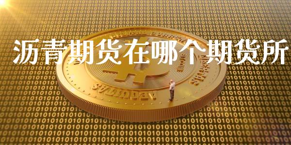 沥青期货在哪个期货所_https://www.gzshoujun.com_期货品种_第1张