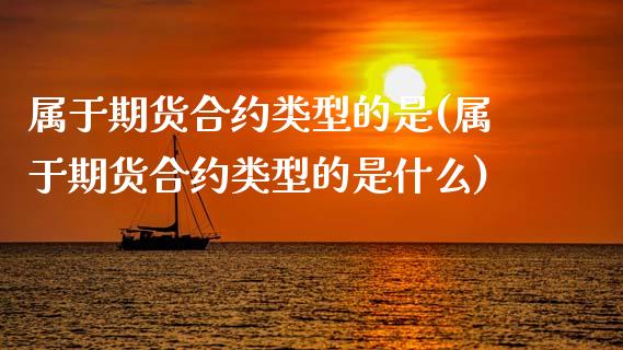 属于期货合约类型的是(属于期货合约类型的是什么)_https://www.gzshoujun.com_期货公司_第1张