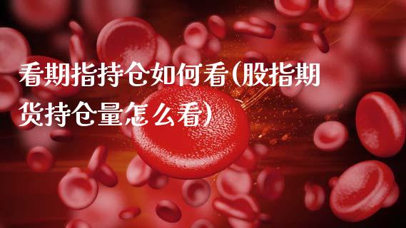 看期指持仓如何看(股指期货持仓量怎么看)_https://www.gzshoujun.com_期货行情_第1张