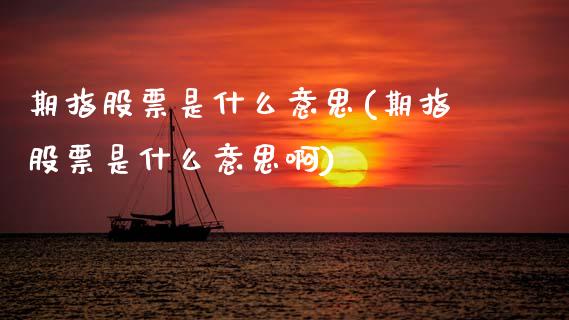 期指股票是什么意思(期指股票是什么意思啊)_https://www.gzshoujun.com_期货交易所_第1张