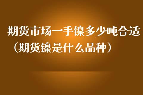 期货市场一手镍多少吨合适（期货镍是什么品种）_https://www.gzshoujun.com_期货开户_第1张