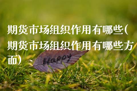 期货市场组织作用有哪些(期货市场组织作用有哪些方面)_https://www.gzshoujun.com_期货直播_第1张