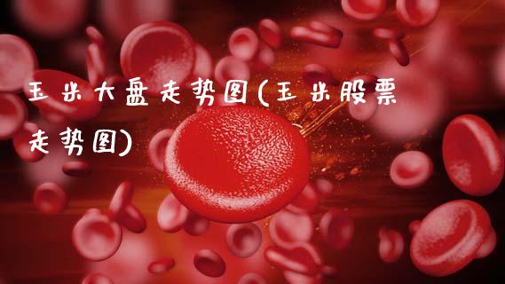 玉米大盘走势图(玉米股票走势图)_https://www.gzshoujun.com_期货知识_第1张