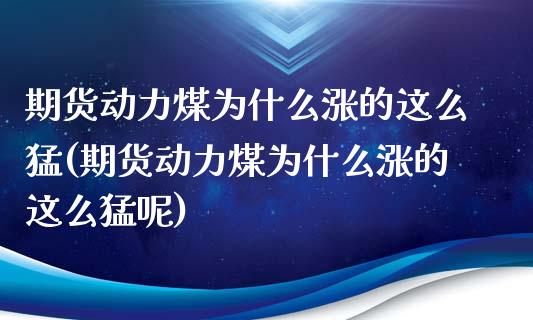 期货动力煤为什么涨的这么猛(期货动力煤为什么涨的这么猛呢)_https://www.gzshoujun.com_期货直播_第1张