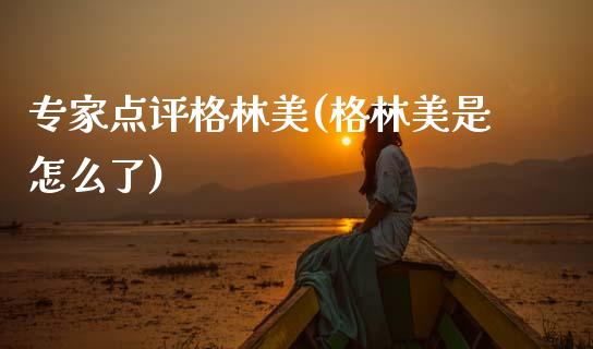 专家点评格林美(格林美是怎么了)_https://www.gzshoujun.com_期货理财_第1张