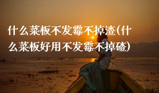 什么菜板不发霉不掉渣(什么菜板好用不发霉不掉碴)_https://www.gzshoujun.com_原油期货_第1张