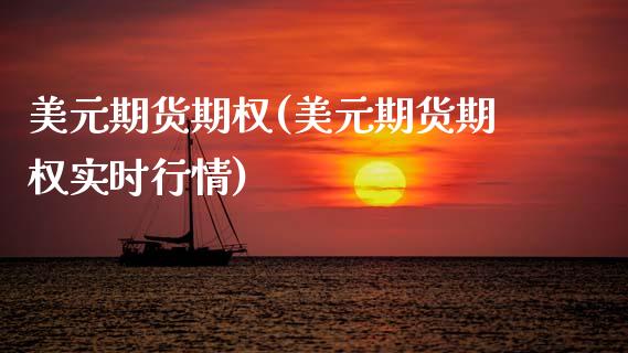 美元期货期权(美元期货期权实时行情)_https://www.gzshoujun.com_内盘期货_第1张