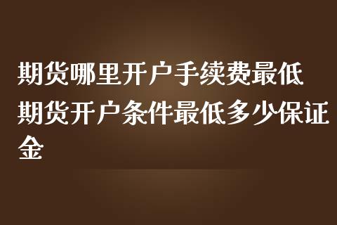 期货哪里开户手续费最低 期货开户条件最低多少保证金_https://www.gzshoujun.com_期货交易所_第1张