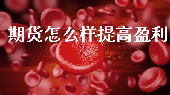 期货怎么样提高盈利_https://www.gzshoujun.com_期货直播_第1张