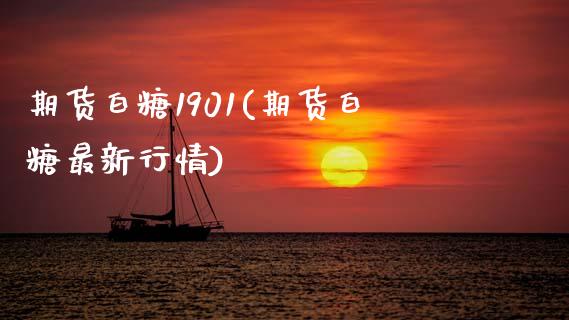 期货白糖1901(期货白糖最新行情)_https://www.gzshoujun.com_期货交易所_第1张