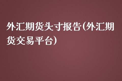 外汇期货头寸报告(外汇期货交易平台)_https://www.gzshoujun.com_期货行情_第1张