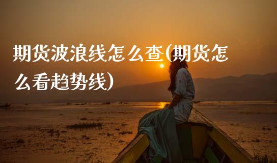 期货波浪线怎么查(期货怎么看趋势线)_https://www.gzshoujun.com_期货交易所_第1张