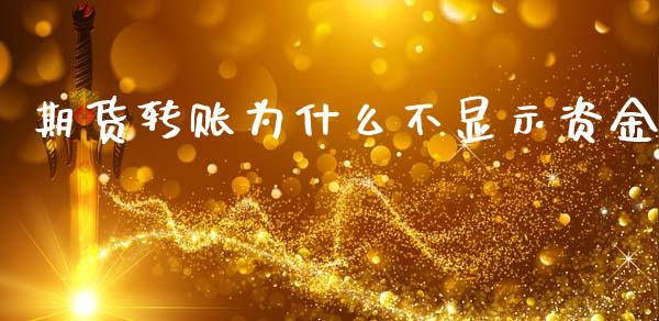 期货转账为什么不显示资金_https://www.gzshoujun.com_期货交易所_第1张
