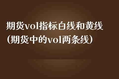 期货vol指标白线和黄线(期货中的vol两条线)_https://www.gzshoujun.com_农产品期货_第1张