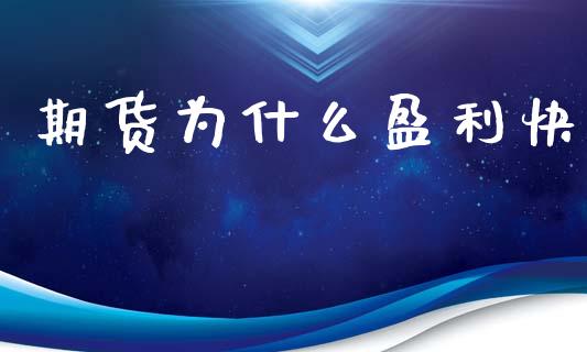 期货为什么盈利快_https://www.gzshoujun.com_期货交易所_第1张