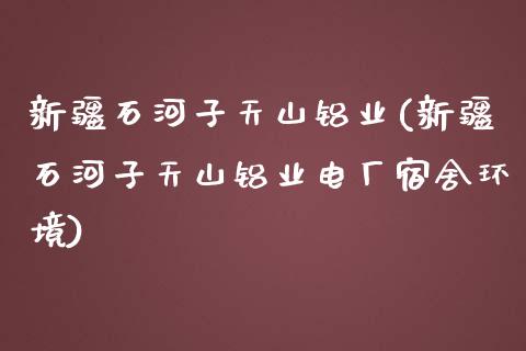 新疆石河子天山铝业(新疆石河子天山铝业电厂宿舍环境)_https://www.gzshoujun.com_恒指期货_第1张