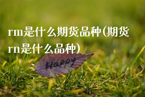 rm是什么期货品种(期货rn是什么品种)_期货品种_第1张_首骏网 rm是什么期货品种(期货rn是什么品种)_https://www.gzshoujun.com_期货品种_第1张