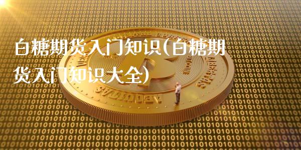 白糖期货入门知识(白糖期货入门知识大全)_https://www.gzshoujun.com_农产品期货_第1张