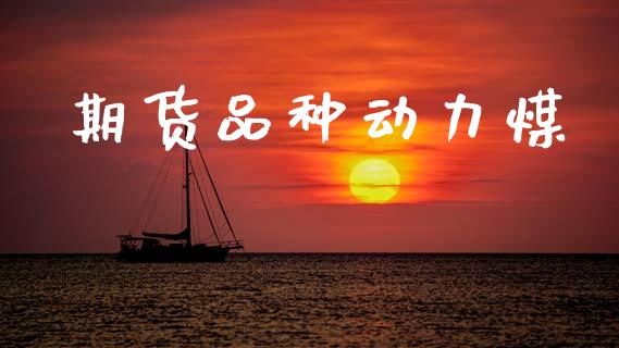 期货品种动力煤_https://www.gzshoujun.com_期货直播_第1张