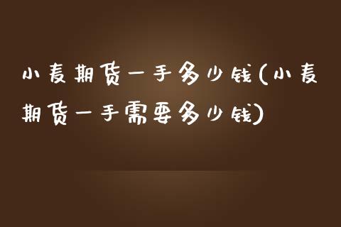 小麦期货一手多少钱(小麦期货一手需要多少钱)_https://www.gzshoujun.com_农产品期货_第1张